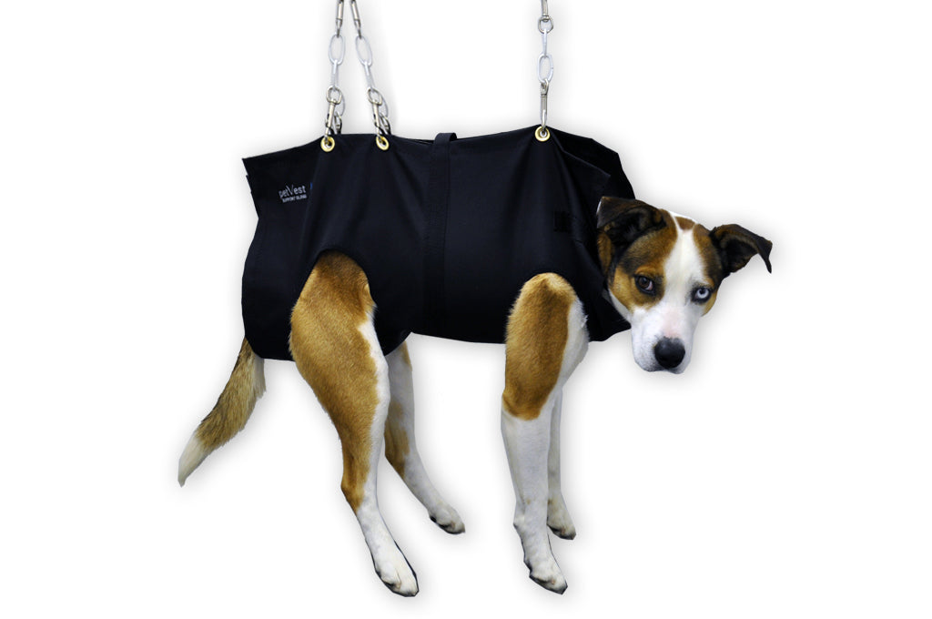 Dog clearance nail sling